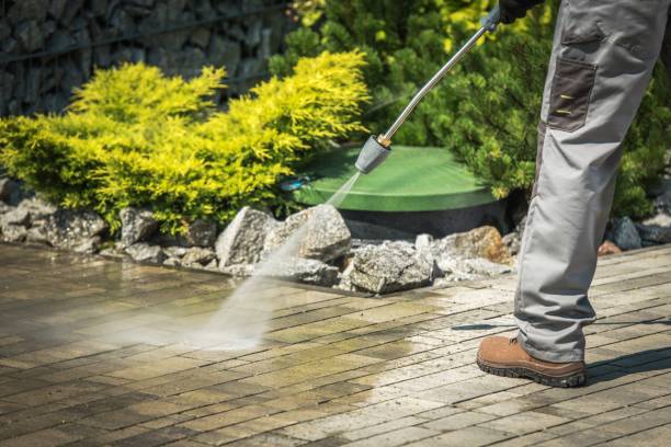 Best Sidewalk and Walkway Cleaning  in Shelton, CT