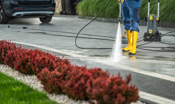 Professional  Pressure Washing Services in Shelton, CT